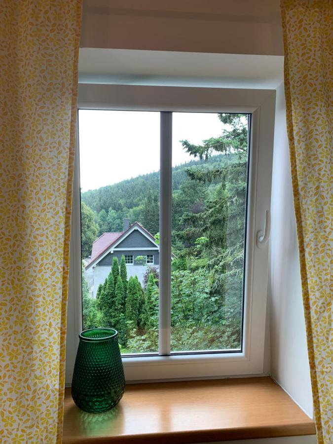 Penzion Zelené Údolí Janské Lázně Exteriér fotografie