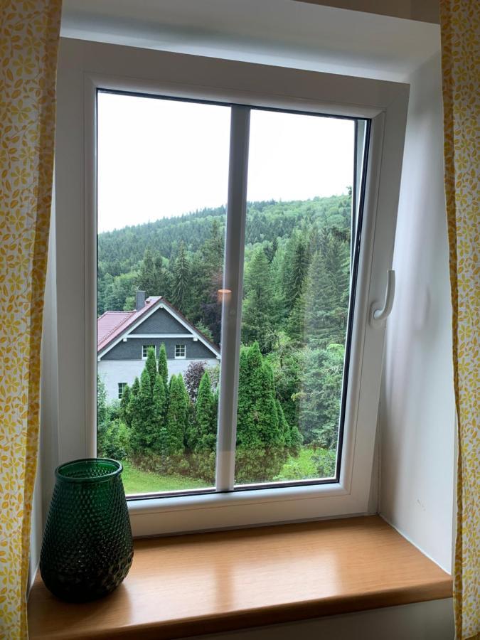 Penzion Zelené Údolí Janské Lázně Exteriér fotografie