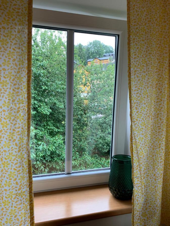 Penzion Zelené Údolí Janské Lázně Exteriér fotografie