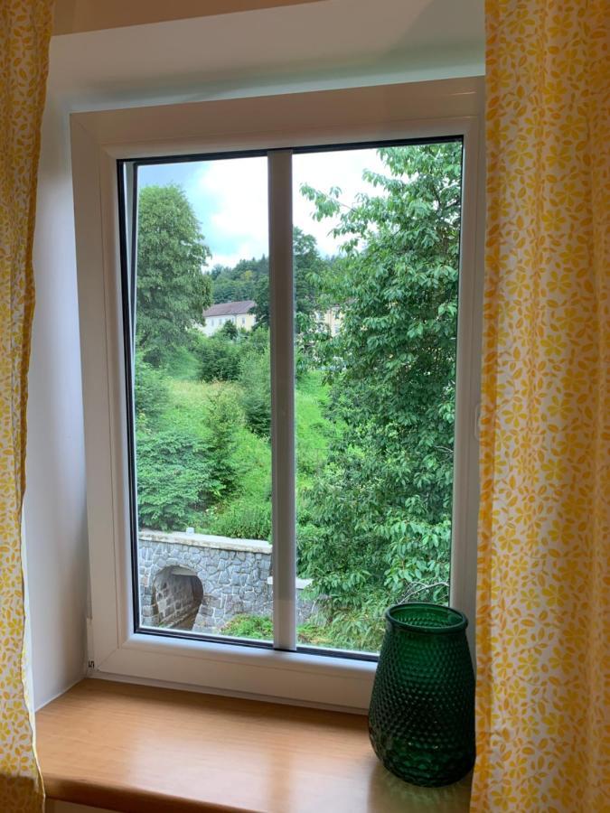 Penzion Zelené Údolí Janské Lázně Exteriér fotografie