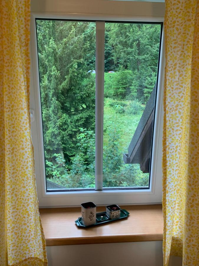 Penzion Zelené Údolí Janské Lázně Exteriér fotografie